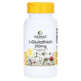 Ein aktuelles Angebot für L-GLUTATHION 250 mg Kapseln 100 St Kapseln Nahrungsergänzungsmittel - jetzt kaufen, Marke Warnke Vitalstoffe GmbH.