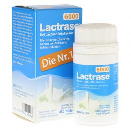 Ein aktuelles Angebot für LACTRASE 6.000 FCC Tbl.Klickspender Nachfüllpack 480 St Tabletten Nahrungsergänzungsmittel - jetzt kaufen, Marke Pro Natura Gesellschaft mbH.