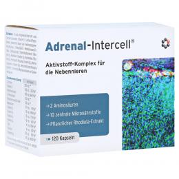 ADRENAL-Intercell Kapseln 120 St Kapseln