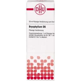 BRYOPHYLLUM D 6 Dilution 20 ml