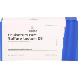 EQUISETUM CUM Sulfure tostum D 6 Ampullen 8 ml