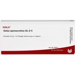 GALEA aponeurotica GL D 5 Ampullen 10 ml