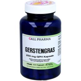 GERSTENGRAS 250 mg GPH Kapseln 120 St.
