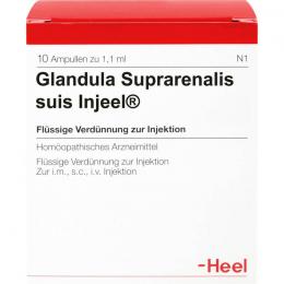 GLANDULA SUPRARENALIS suis Injeel Ampullen 10 St.