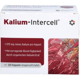 KALIUM-INTERCELL magensaftresistente Hartkapseln 120 St.