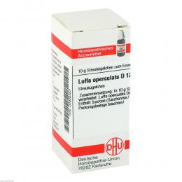 Ein aktuelles Angebot für LUFFA OPERCULATA D 12 Globuli 10 g Globuli Naturheilmittel - jetzt kaufen, Marke DHU-Arzneimittel GmbH & Co. KG.