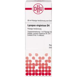 LYCOPUS VIRGINICUS D 4 Dilution 20 ml