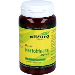 NATTOKINASE KAPSELN 120 St.