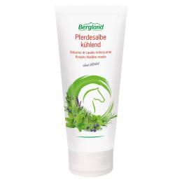 PFERDESALBE kühlend 200 ml Salbe