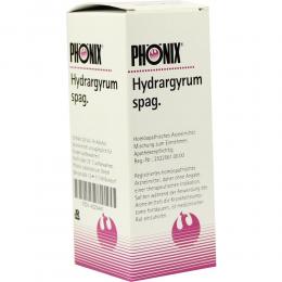 PHÖNIX HYDRARGYRUM spag.Mischung 100 ml Mischung