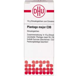 PLANTAGO MAJOR C 30 Globuli 10 g