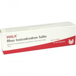 RHUS TOXICODENDRON SALBE 30 g Salbe