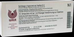 SOLIDAGO VIRGAUREA ex herba D 3 Ampullen 10X1 ml