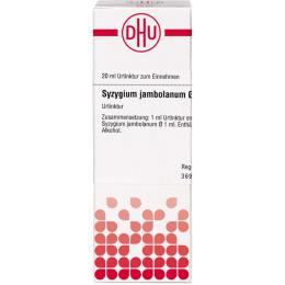 SYZYGIUM JAMBOLANUM Urtinktur D 1 20 ml