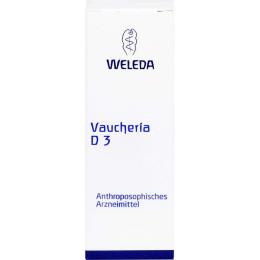 VAUCHERIA D 3 Dilution 20 ml